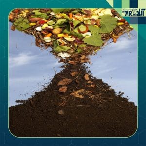 تولید کمپوست، کسب ثروت از زباله‌ها