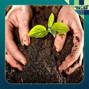 جهش تولید در خاک دیمزارهای کشور با مدیریت و ارتقای ماده آلی خاک‌های کشاورزی