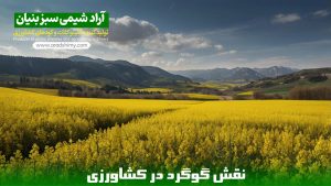 نقش گوگرد در کشاورزی | بهترین زمان مصرف گوگرد