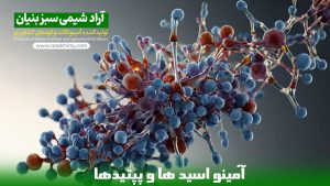 آمینو اسید ها و پپتید ها