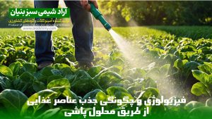 جذب عناصر غذایی از طریق محلول پاشی