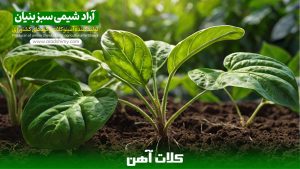 کلات آهن