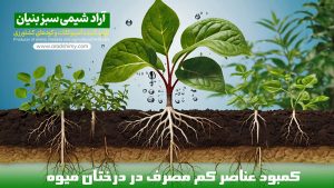 کمبود عناصر کم مصرف در درختان میوه