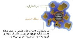 اکسیداسیون گوگرد