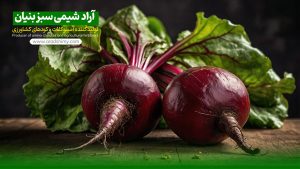 برنامه عمومی تغذیه کودی چغندر قند