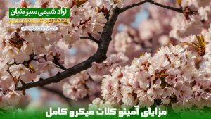 مزایای آمینو کلات میکرو کامل