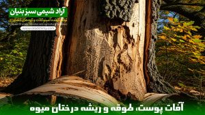 آفات پوست، کرم طوقه و ریشه درختان میوه